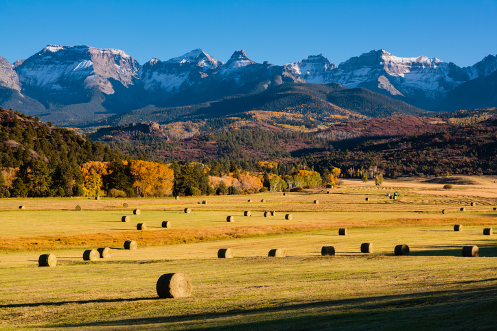 Autumn scene on a ranch near Ridgway, Colorado.