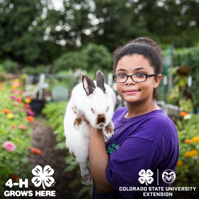 Join Colorado 4H Colorado Farm Bureau Insurance