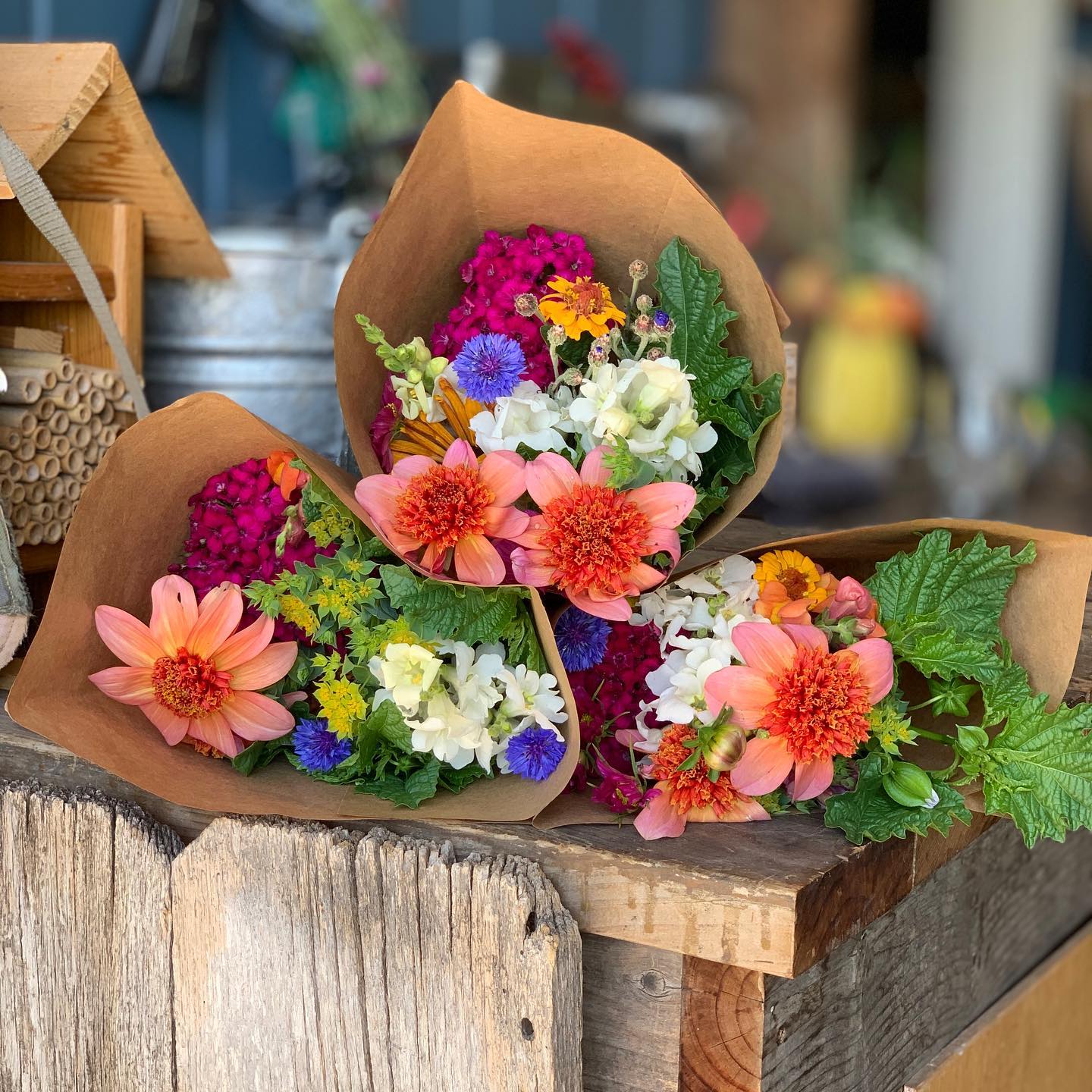 Check Out These Local Colorado Flower Farms Farm Bureau Insurance